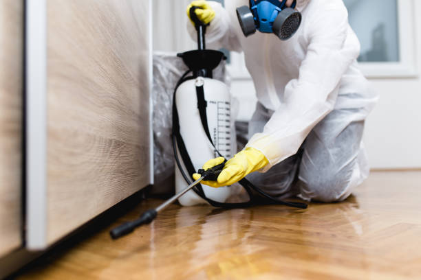 Best Pest Prevention Services  in Briar, TX