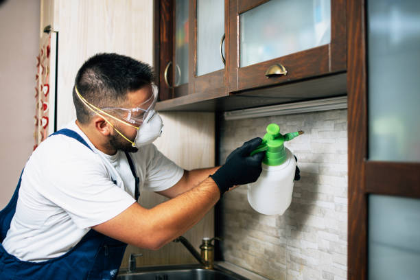Best Residential Pest Control  in Briar, TX