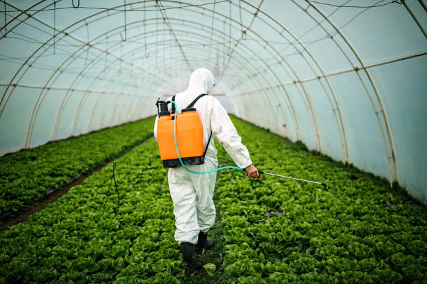 Best Pest Inspection Near Me  in Briar, TX
