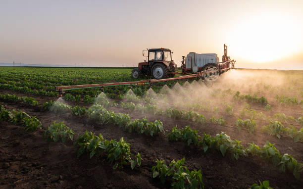 Best Pest Control Near Me  in Briar, TX