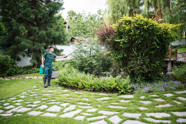 Best Pest Control Treatment  in Briar, TX