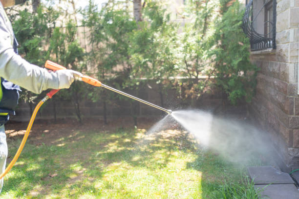 Best Pest Removal Services  in Briar, TX