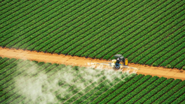 Best Pest Prevention Services  in Briar, TX