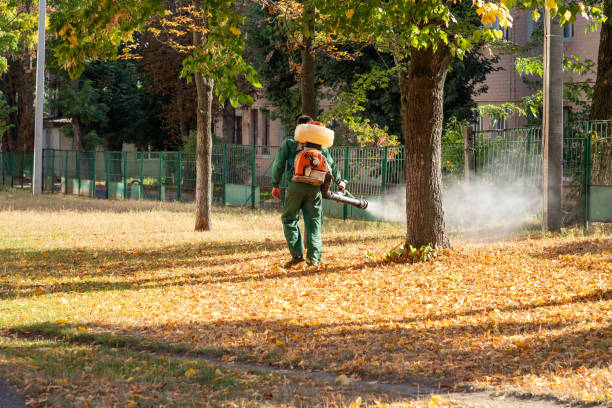 Best Rodent Control Near Me  in Briar, TX