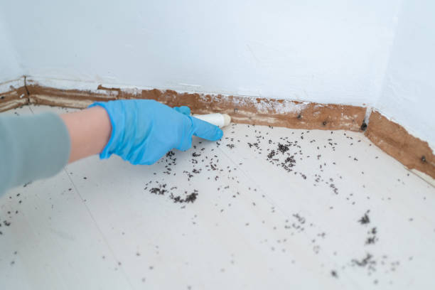 Best Best Pest Control Companies  in Briar, TX