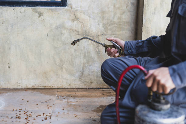 Reliable Briar, TX Pest Control Solutions